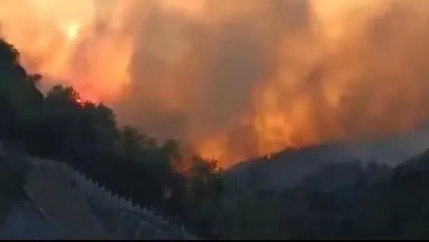 山火SOS，“十八般武艺”的TA们请求出战