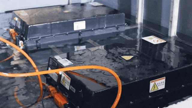 穿越春日盛景，亿万先生MR观光车邀您共赴行业盛宴！